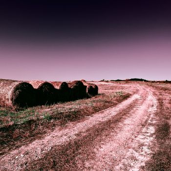 Dirt Road Leading to the Farmhouse in Tuscany at Night, Toned Picture 