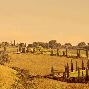 Plowed Sloping Hills of Tuscany in the Autumn, Vintage Style Toned Picture