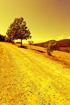 Winding Dirt Road in the Tuscany, Vintage Style Toned Picture