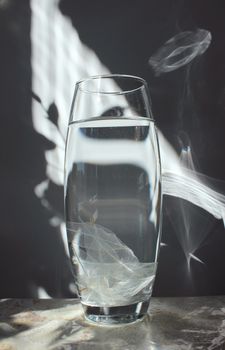 Several skeletonized leaves of ficus (Ficus benjamina) in a glassy vase.