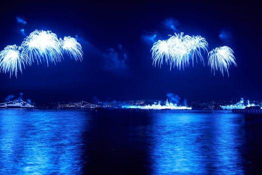 Blue colorful fireworks on the black sky background