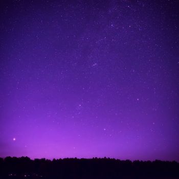 Beautiful purple night sky with many stars above the forest. Milkway space background