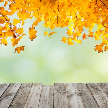 Orange fall leaves over wooden desk and abstract autumn background