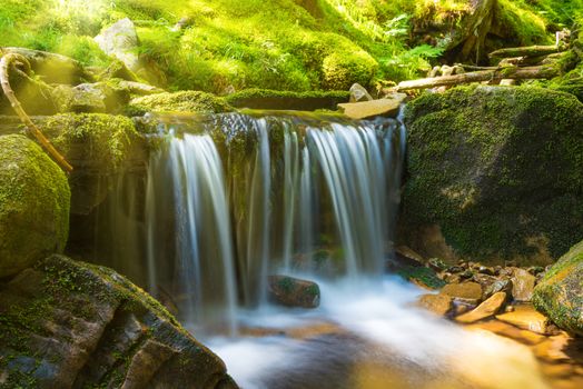 Beautiful waterfall in the green forest. Cascade of water under sun light