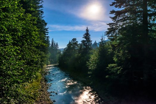 River in the night forest under moon light. Dark sky with stars