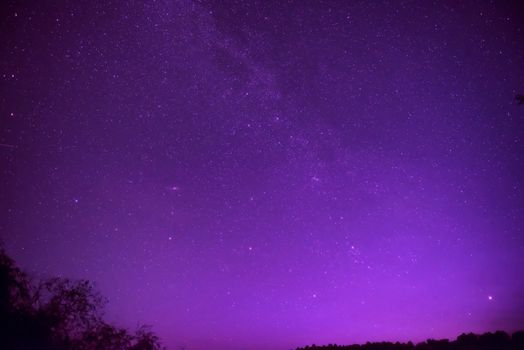 Beautiful purple night sky with many stars above the forest. Milkyway space background