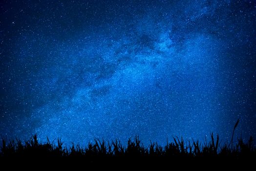 Blue dark night sky with many stars above field of grass. Milkyway cosmos background
