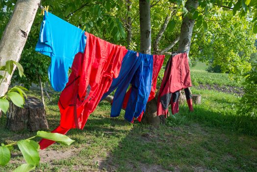 Different color clothes hanging on line in green garden
