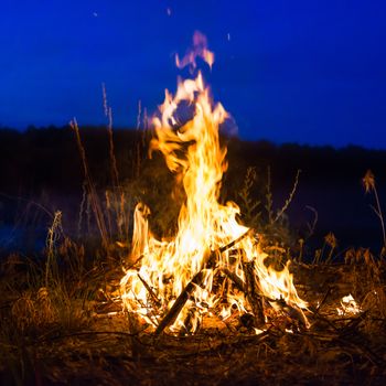 Big campfire at night in the forest under dark blue night sky with many stars