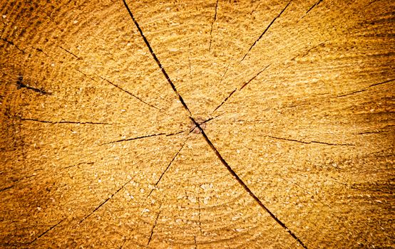 Light yellow cracked wooden texture can be used for background
