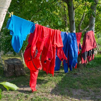 Different color clothes hanging on line in green garden