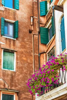 Flowers on the house in old european building. Venice, Italy