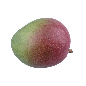 Mango isolated on a white background