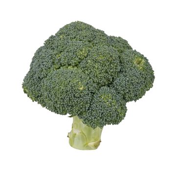 Broccoli isolated on a white background