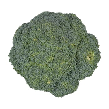 Broccoli isolated on a white background