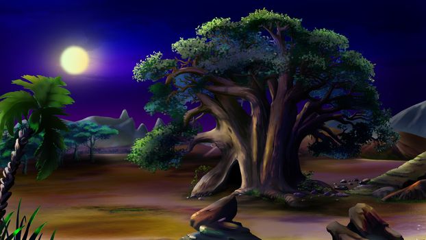 Digital painting of the African baobab in a summer night.