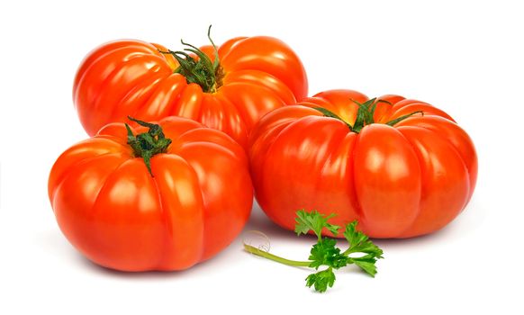 Fresh ripe red tomatoes Timento and a sprig of parsley  isolated on white background.