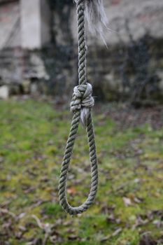 Gallows on a tree in the garden near old wall