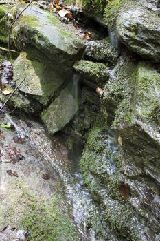 Natural water spring on the rock in the forest,