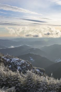 Winter valley with small trees after sunrise