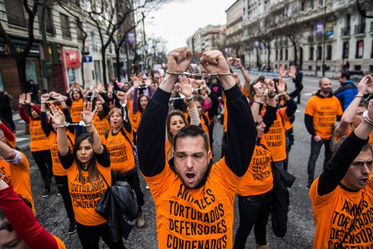 SPAIN, Madrid : Protesters sporting handcuffs march during demonstration in support of pro-animal rights activists, in Madrid on April, 16, 2016. 