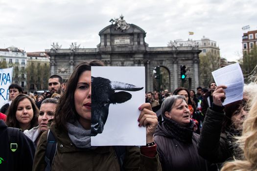 SPAIN, Madrid : Protesters sporting handcuffs march during demonstration in support of pro-animal rights activists, in Madrid on April, 16, 2016. 