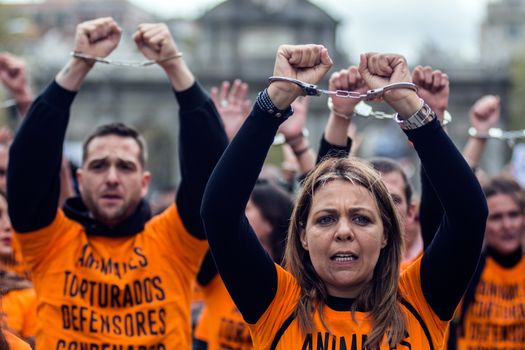 SPAIN, Madrid : Protesters sporting handcuffs march during demonstration in support of pro-animal rights activists, in Madrid on April, 16, 2016. 