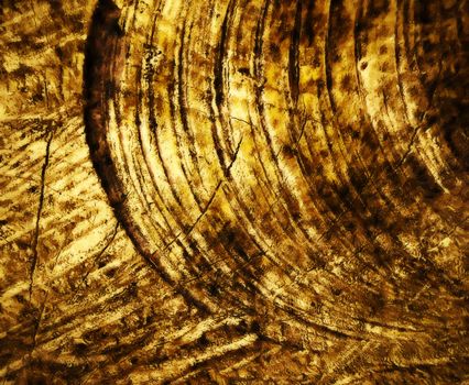 background honey yellow circular abstract texture