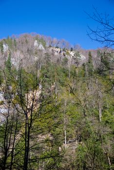 Beautiful mountain scenery . Guam gorge. Krasnodar region