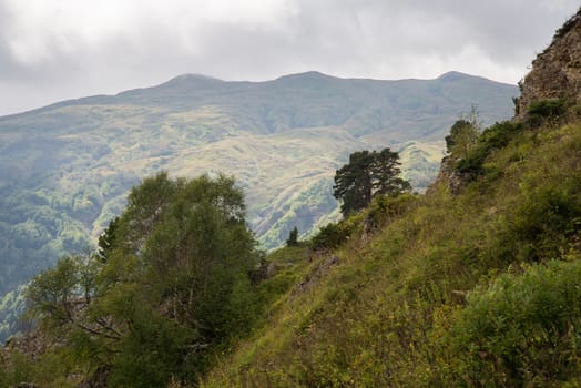 Majestic mountain landscapes of the Caucasian reserve