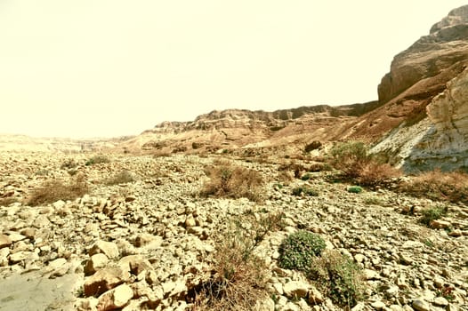 Stone Desert on the West Bank of the Jordan River, Vintage Style Toned Picture