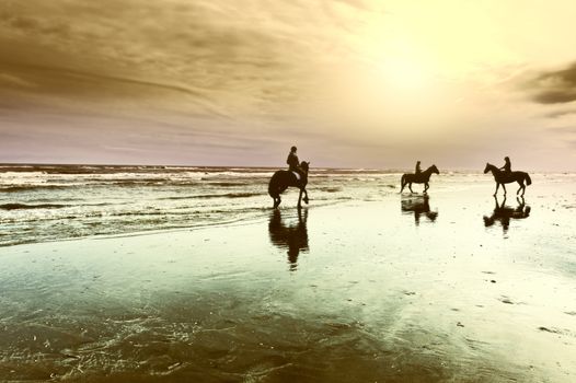 Dancing Horses on the North Sea Coast in Netherlands at Sunset, Vintage Style Toned Picture