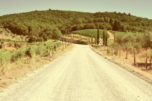 Winding Dirt Road in the Tuscany, Vintage Style Toned Picture