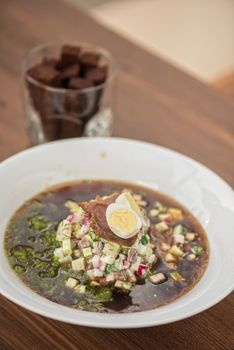 Traditional Russian kvass soup with vegetables - okroshka