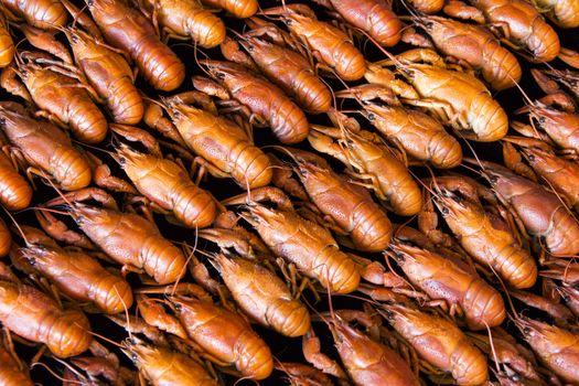 Photo of background with red boiled crawfishes