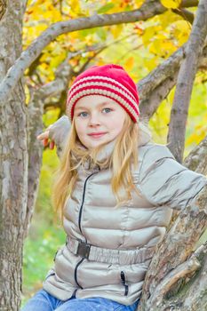 Photo of cute girl in autumn sit on tree