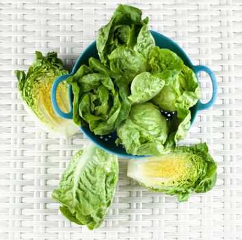 Fresh Crunchy Romaine Lettuce Full Head and Halves in Blue Colander closeup on Wicker background. Top View