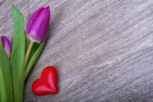 Violet tulips and red heart on a wooden background