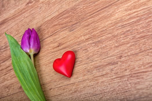 Violet tulip and red heart on a wooden background