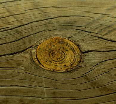 Background of Stain Knot Grey and Beige Wood closeup Outdoors