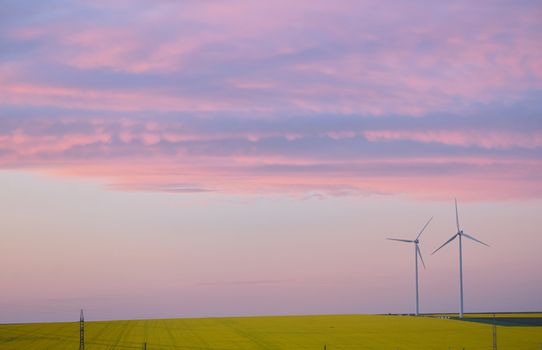 Aeolian field and wind turbines at sunset
