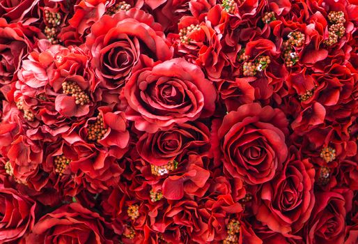 Many of Red roses flowers background, High Angle View