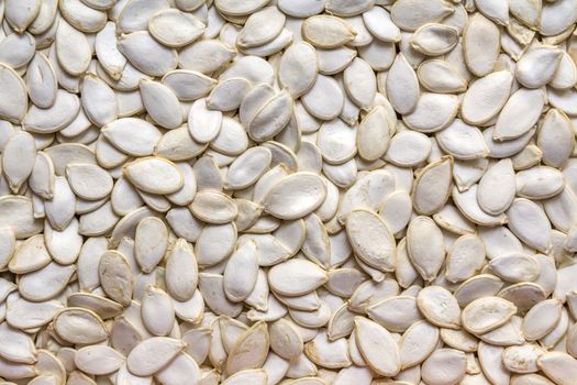 White raw in shell pumpkin seeds close-up background