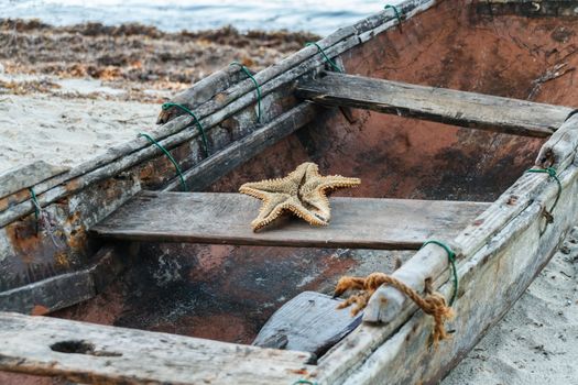 A weathered old fishing boat on the shore with a starfish skeleton in it