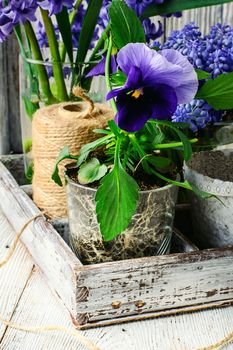 Wooden box with prepared for planting plants and flowers