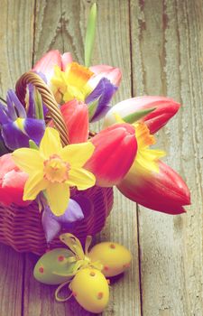 Retro Styled Easter Theme with Bunch of Yellow Daffodils, Magenta Tulips, Purple Irises in Wicker Basket and Colored Easter Eggs closeup on Rustic Wooden background