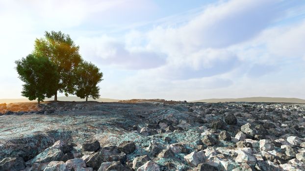 Desert landscape with rocks and trees conceptual composition