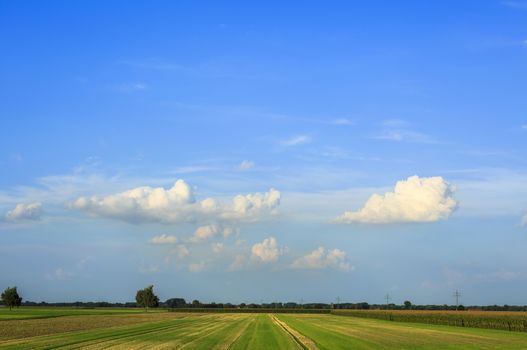 View over fields and meadows after harvesting, grassland and corn field, blue sky with some white clouds, trees and bushes on the horizon
