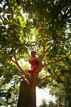 Bali, Indonesia - October 23, 2007: asian cheerful little boy sits on a tree on the island of Bali in Indonesia