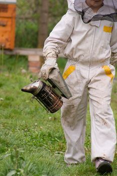 The beekeepers collect honey by the bees.